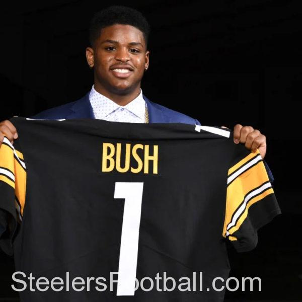 Pittsburgh Steelers LB Devin Bush